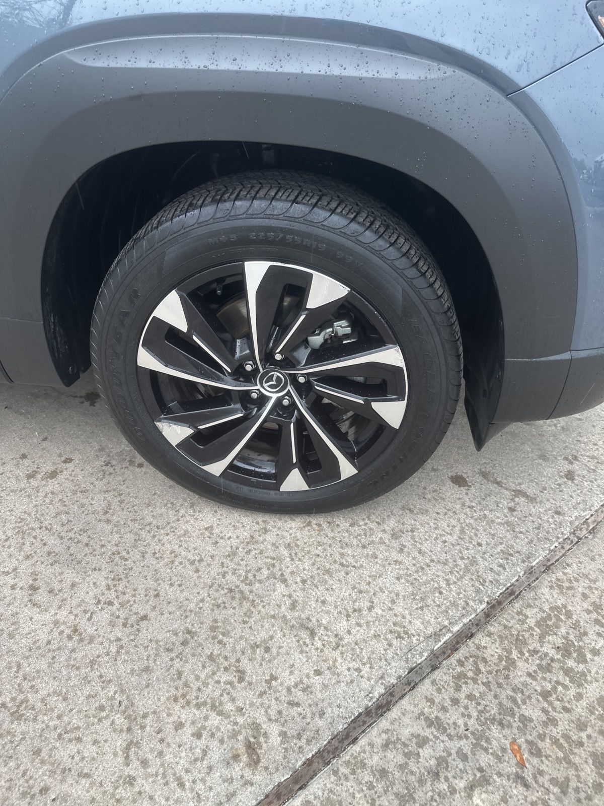 Used Car 2025 Mazda Cx-50 Hybrid  Premium Plus For Sale Under $35,000 In Austin, Texas