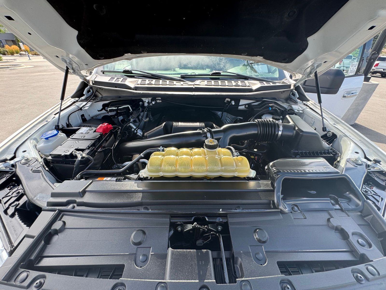 Used 2019 Ford F-150 Truck