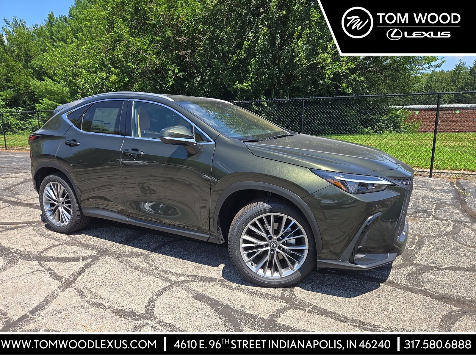 Green Pearl 2026 Lexus NX SUV / Crossover All-Wheel Drive 8-Speed Automatic