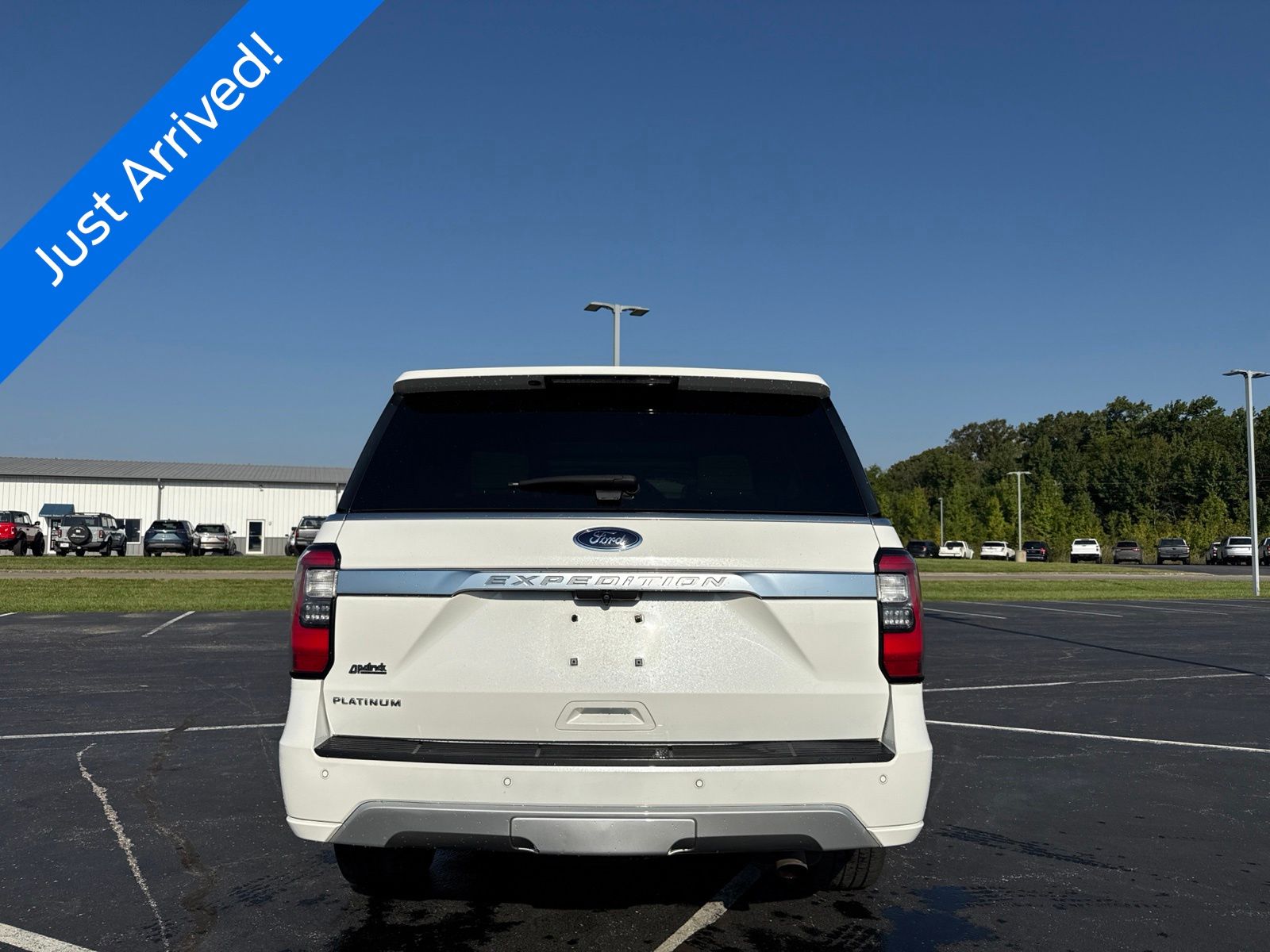 2020 Ford Expedition image 5