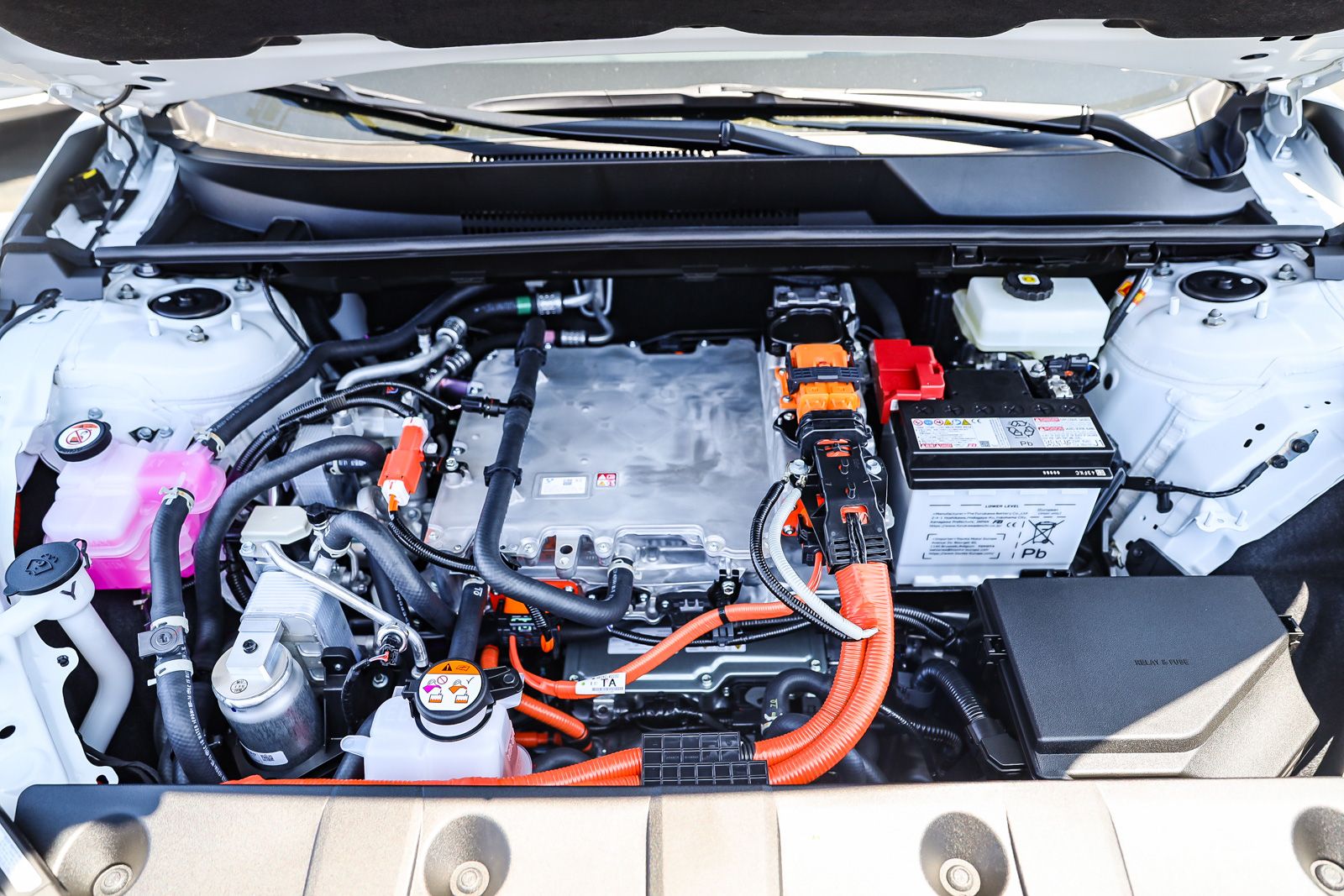 New 2026  Toyota XLE Plus image 26