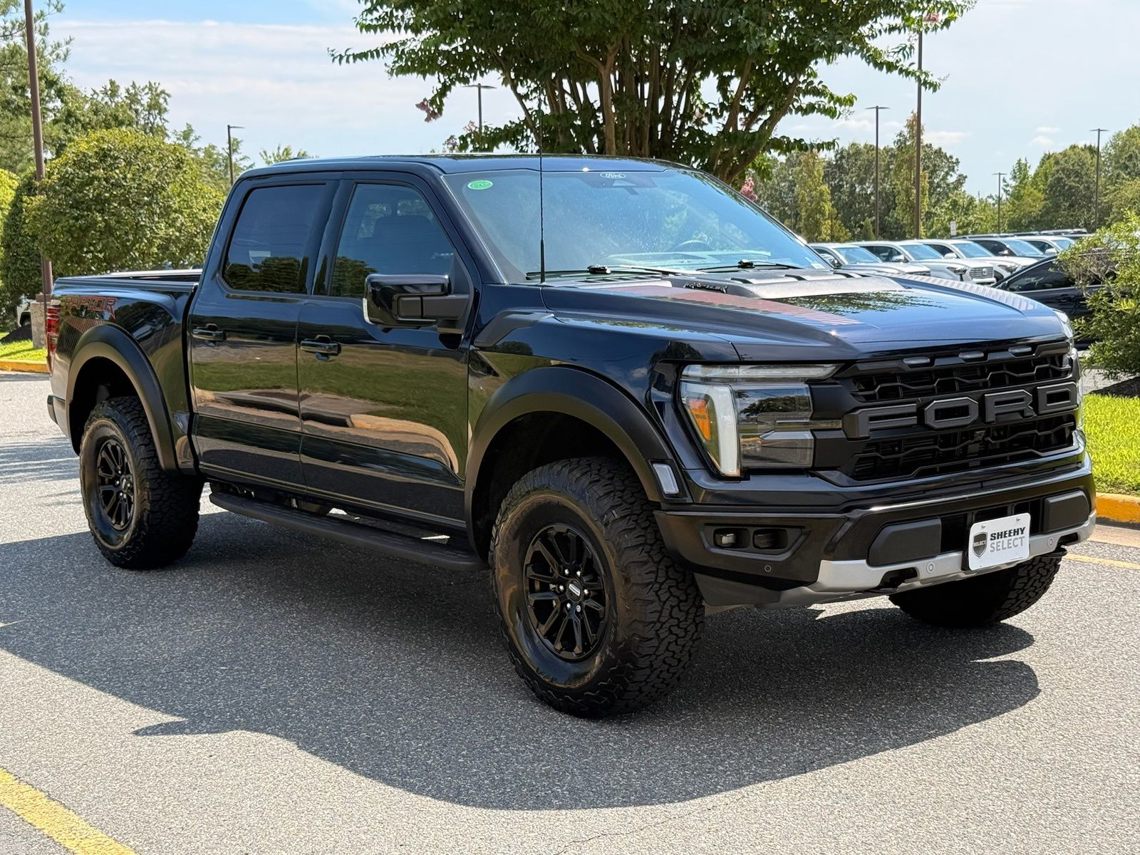 Blue Metallic 2025 Ford F-150 Pickup Truck Four-Wheel Drive Automatic