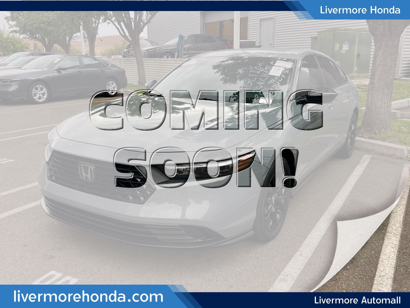 2025 Honda Accord Sedan SE