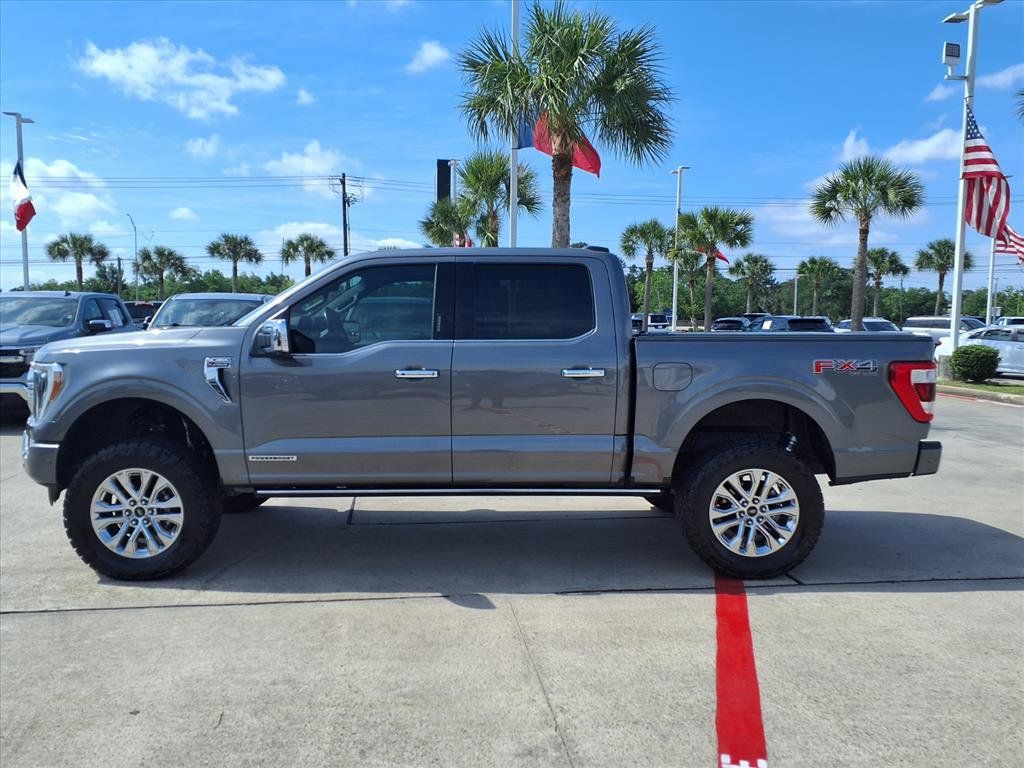 2021 Ford F-150 Platinum - 8