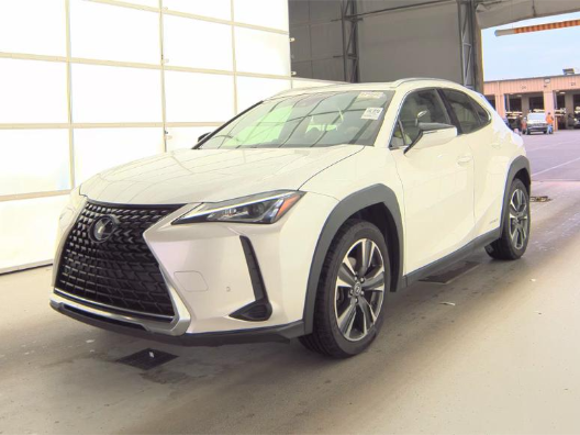 2020 Lexus UX 200 250h AWD's photo