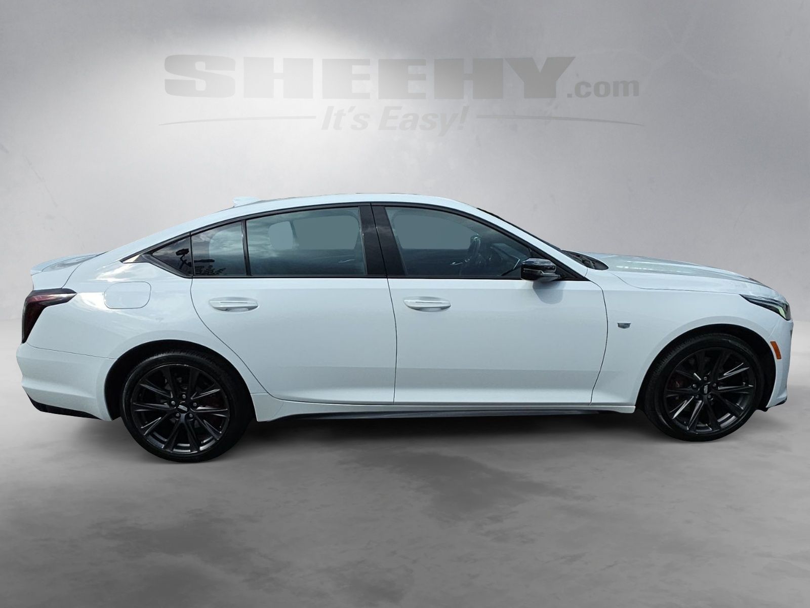 Used 2024 White Cadillac Sport image 8