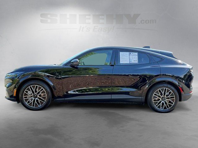 Certified Used 2025 Shadow Black Ford Premium image 15