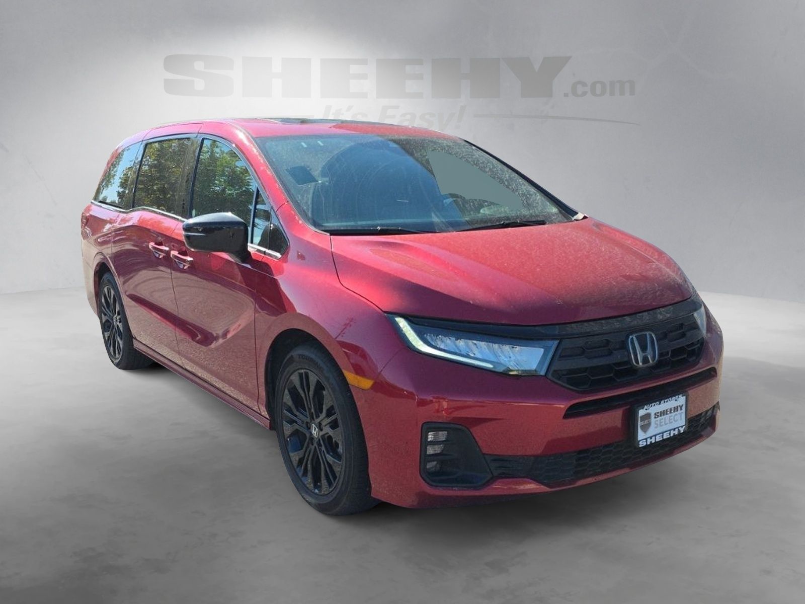 Used 2025  Honda Sport-L image 2