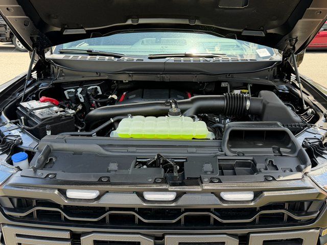 New 2026 Shelter Green Ford Raptor image 40
