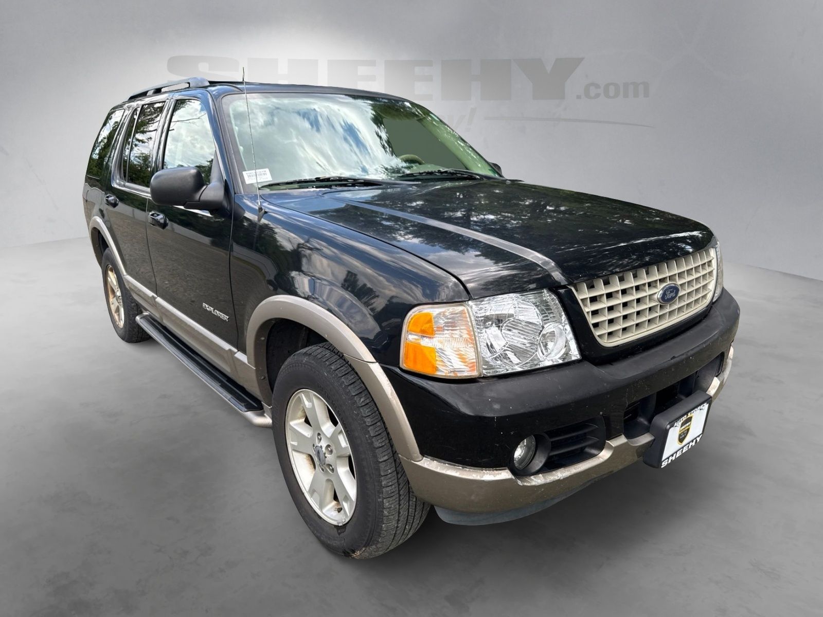 Used 2004 Black Clearcoat Ford Eddie Bauer image 2
