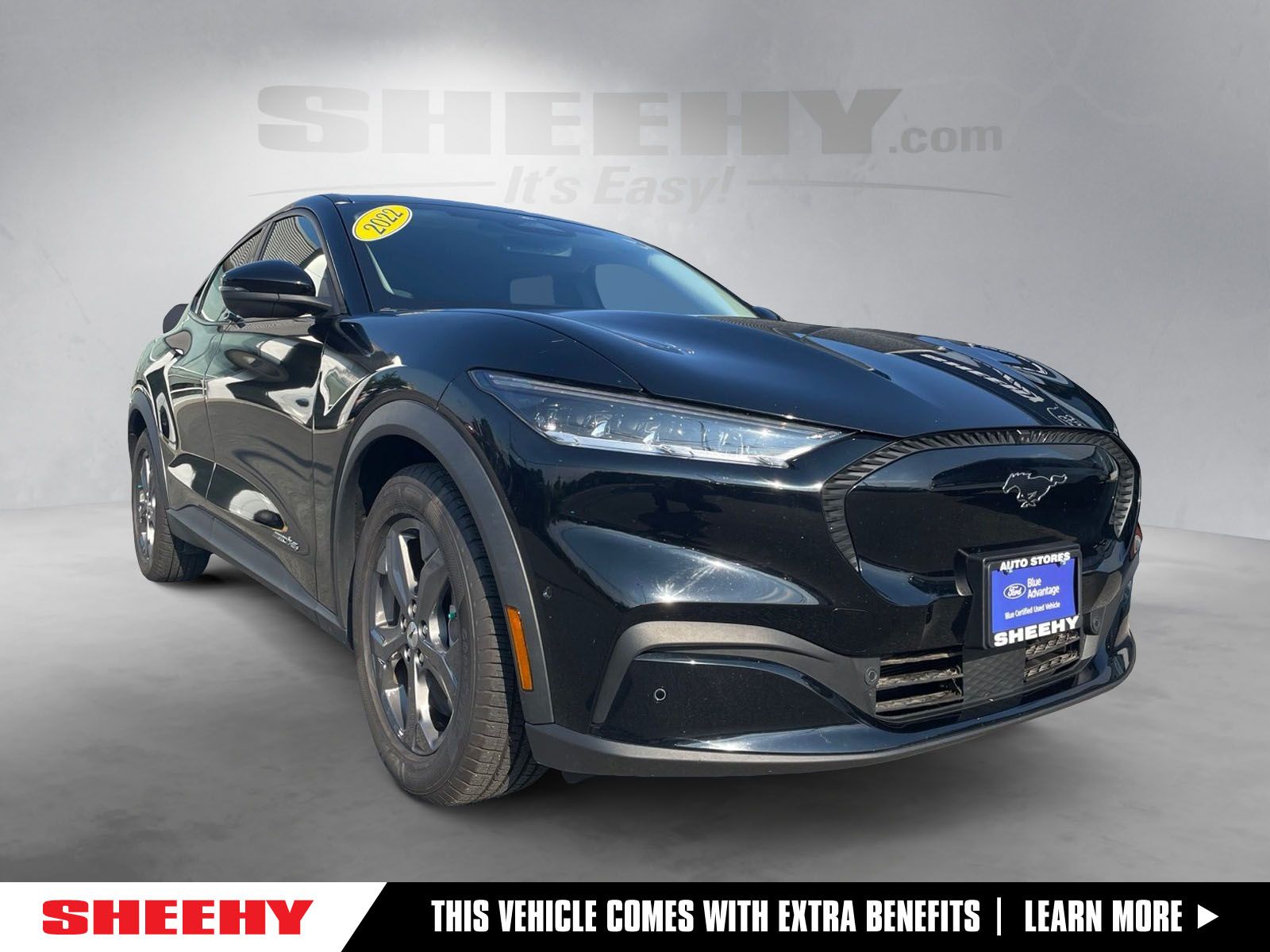 2022 Ford Mustang-Mach-e Select's photo