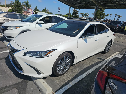2020 Lexus ES 350 350's photo