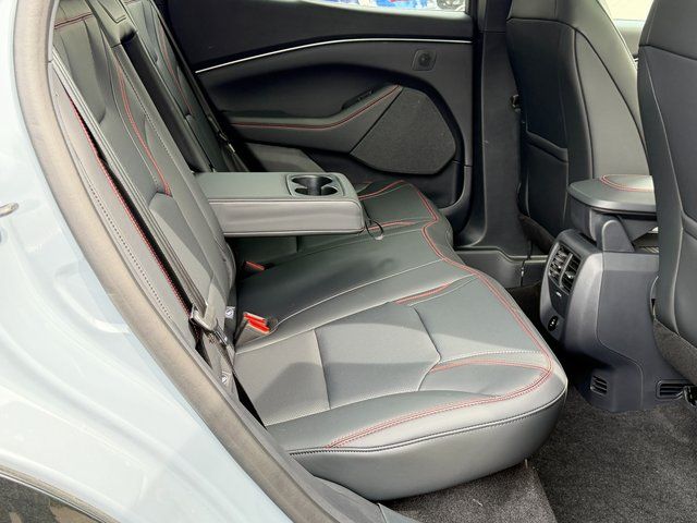New 2025 Gray Ford Premium image 12