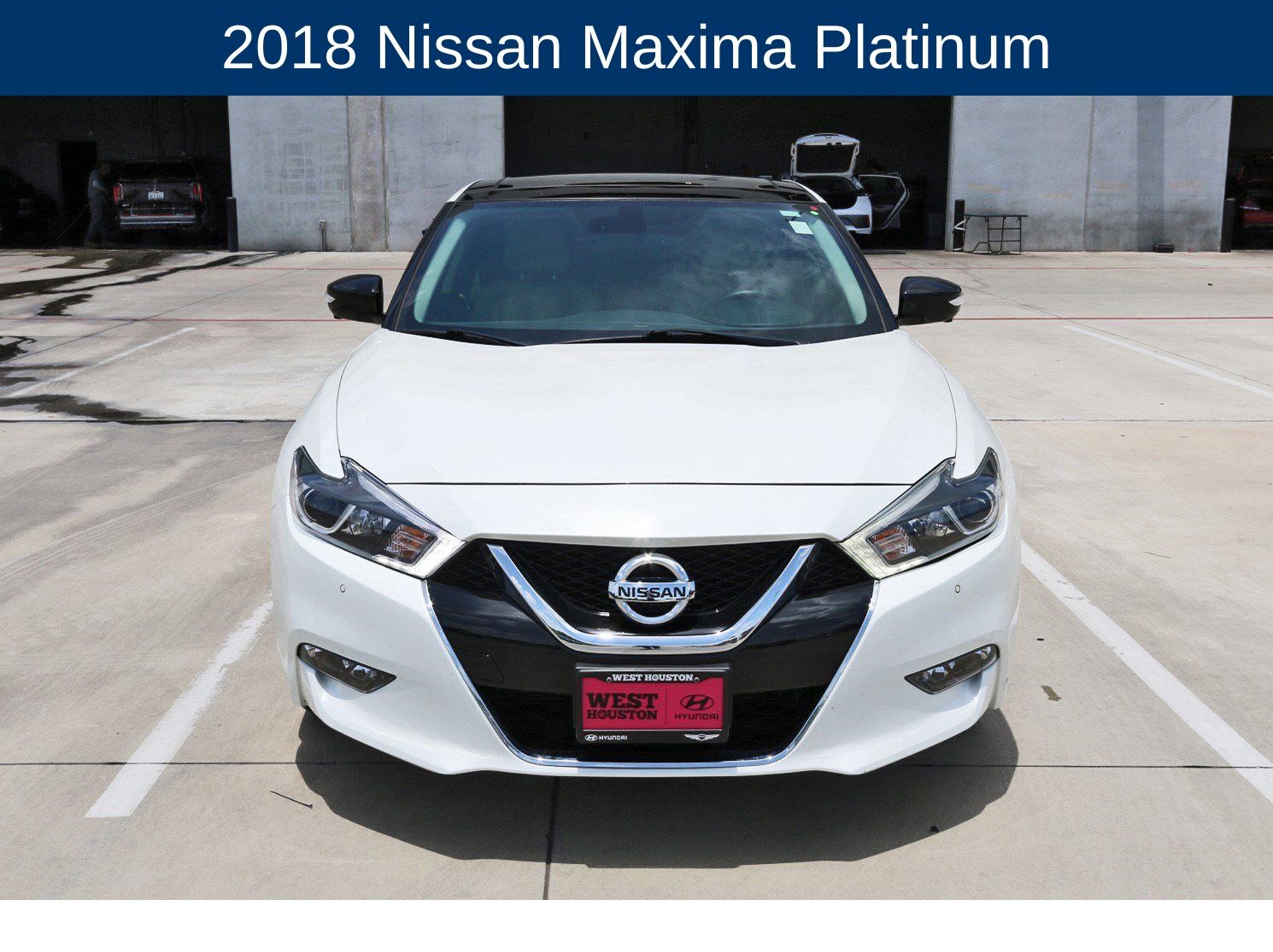 Maxima Platinum