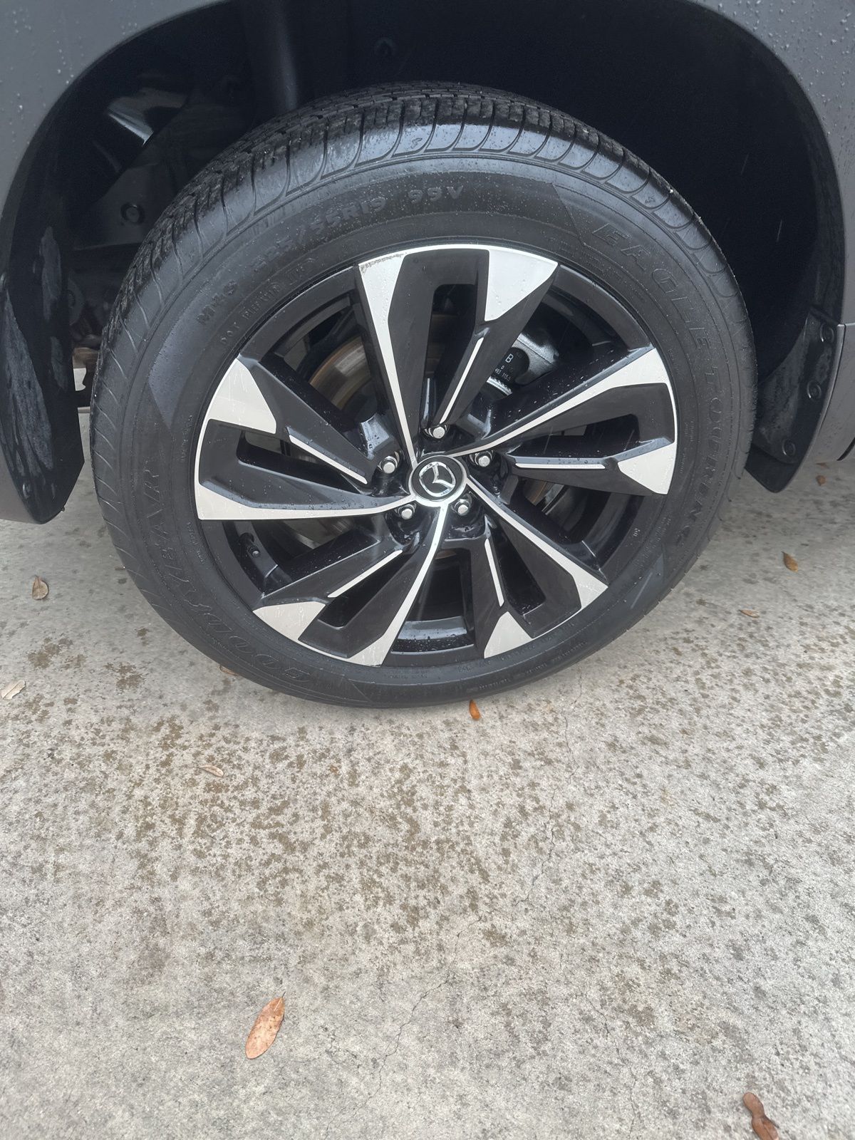 Used Car 2025 Mazda Cx-50 Hybrid  Premium Plus For Sale Under $35,000 In Austin, Texas