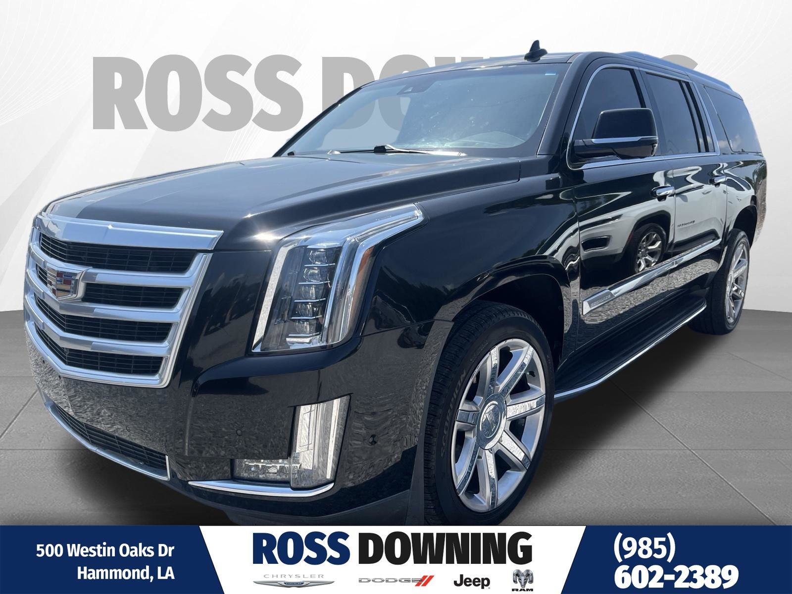 Black Raven 2019 Cadillac Escalade ESV SUV / Crossover Rear-Wheel Drive
