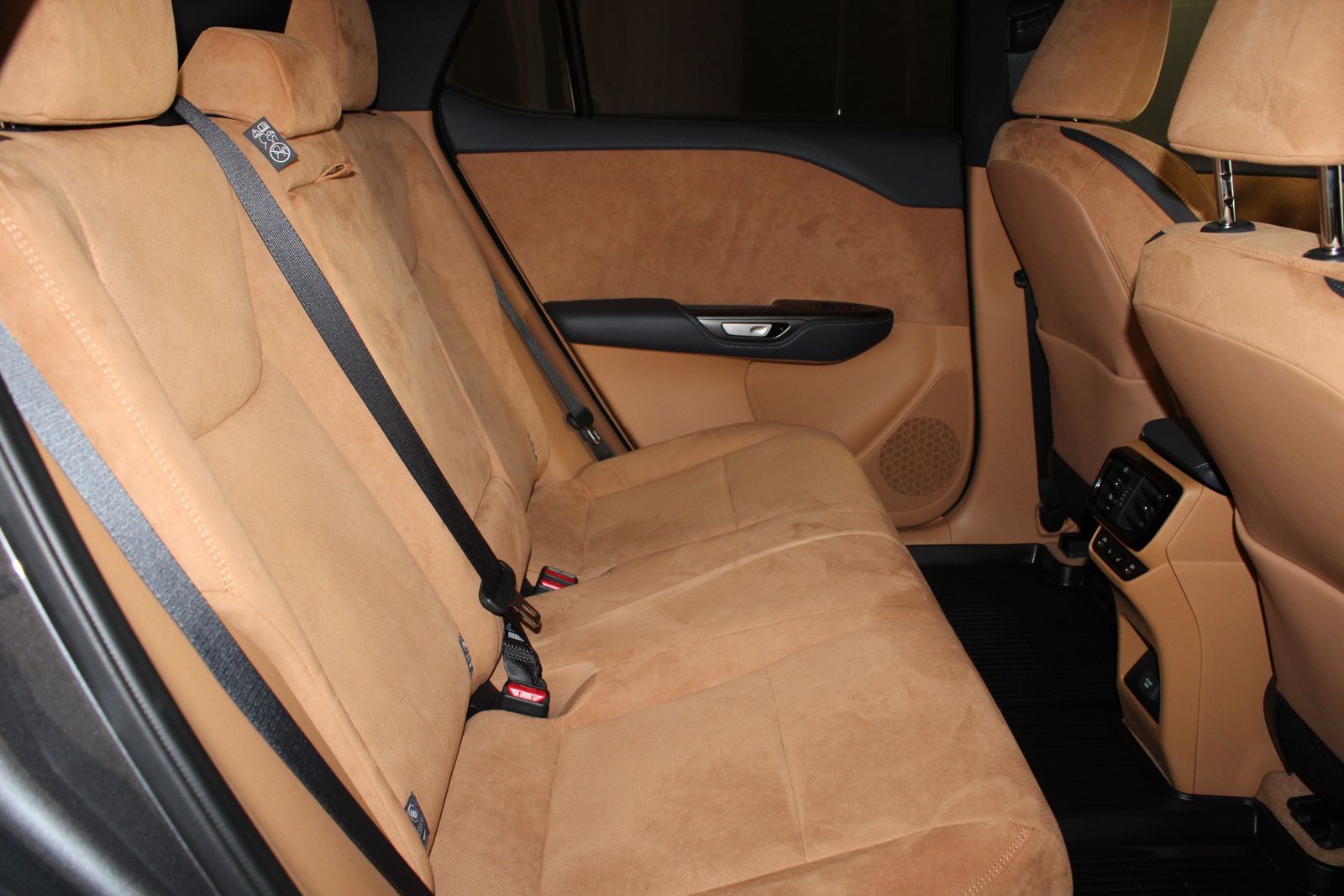Used 2023 Gray Lexus 450e Luxury image 25