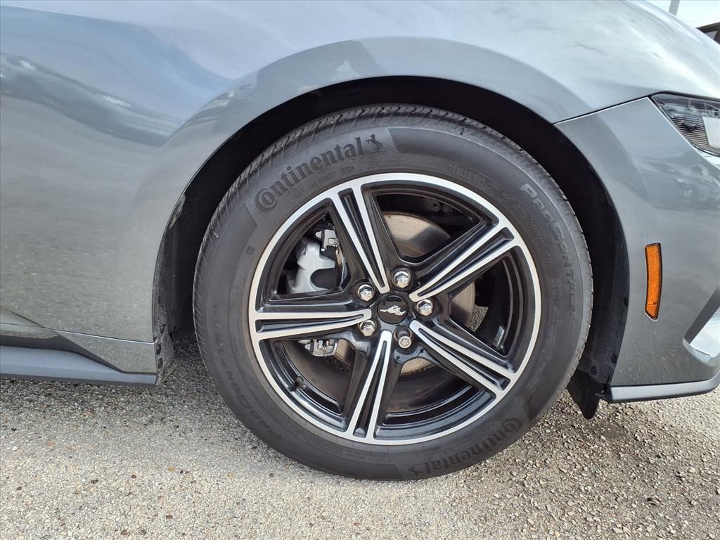 2025 Ford Mustang EcoBoost - 8