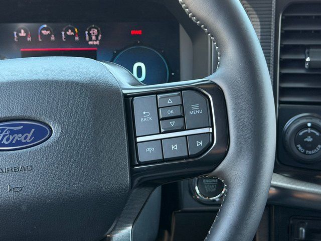 New 2026 Agate Black Metallic Ford Platinum image 24
