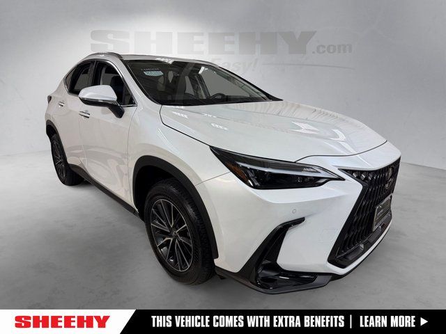 2025 Lexus NX 350 Base