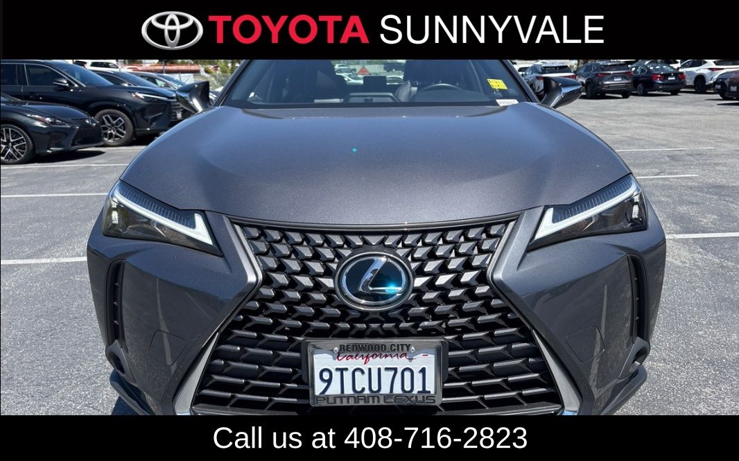 2025 Lexus UX 300h 300h's photo