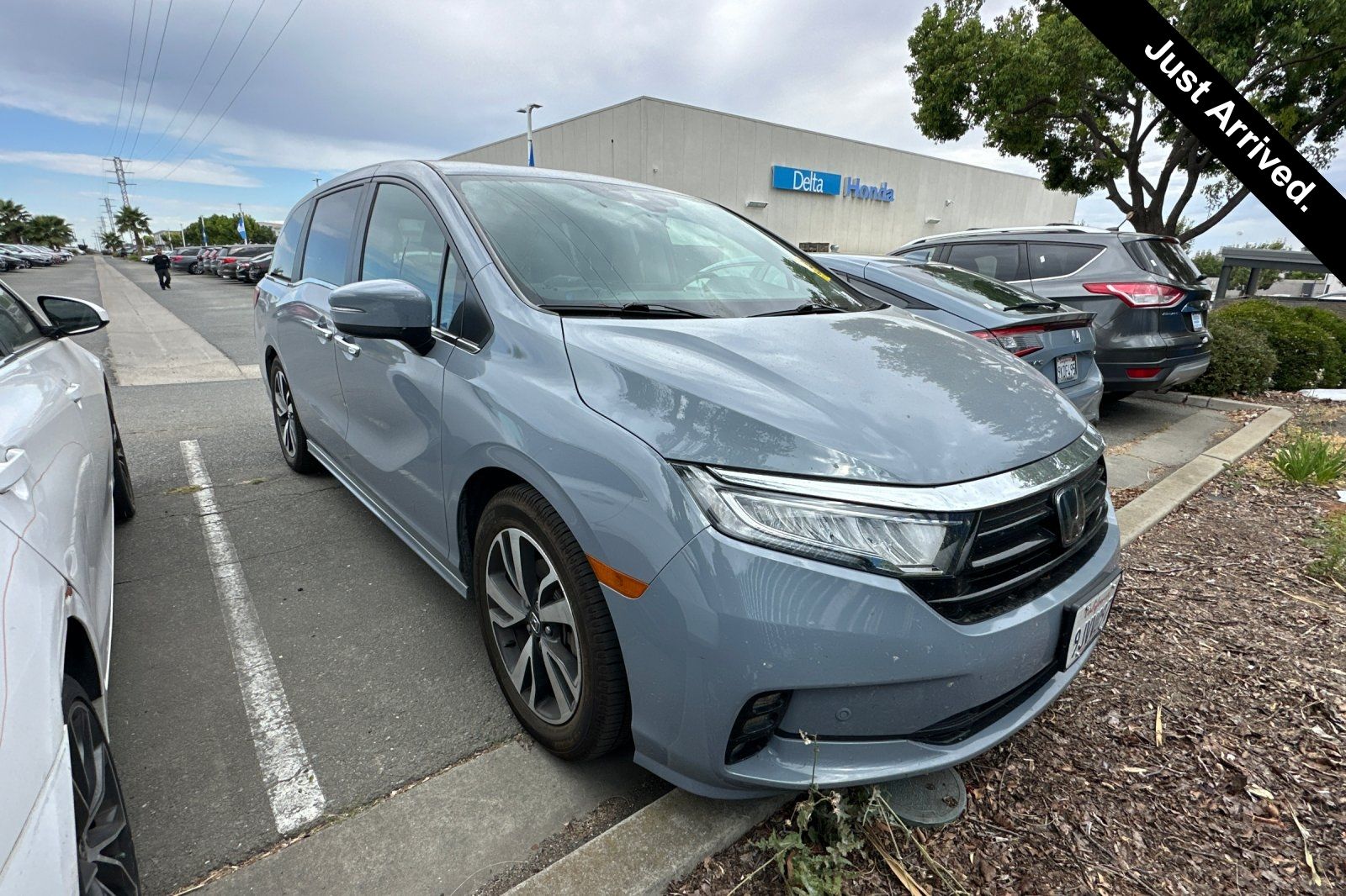 2024 Honda Odyssey Touring