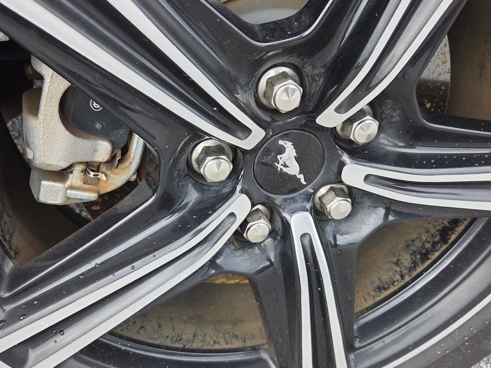 Used 2024 Black Ford EcoBoost image 4