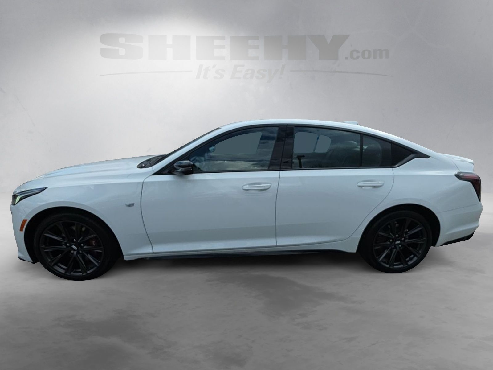 Used 2024 White Cadillac Sport image 15
