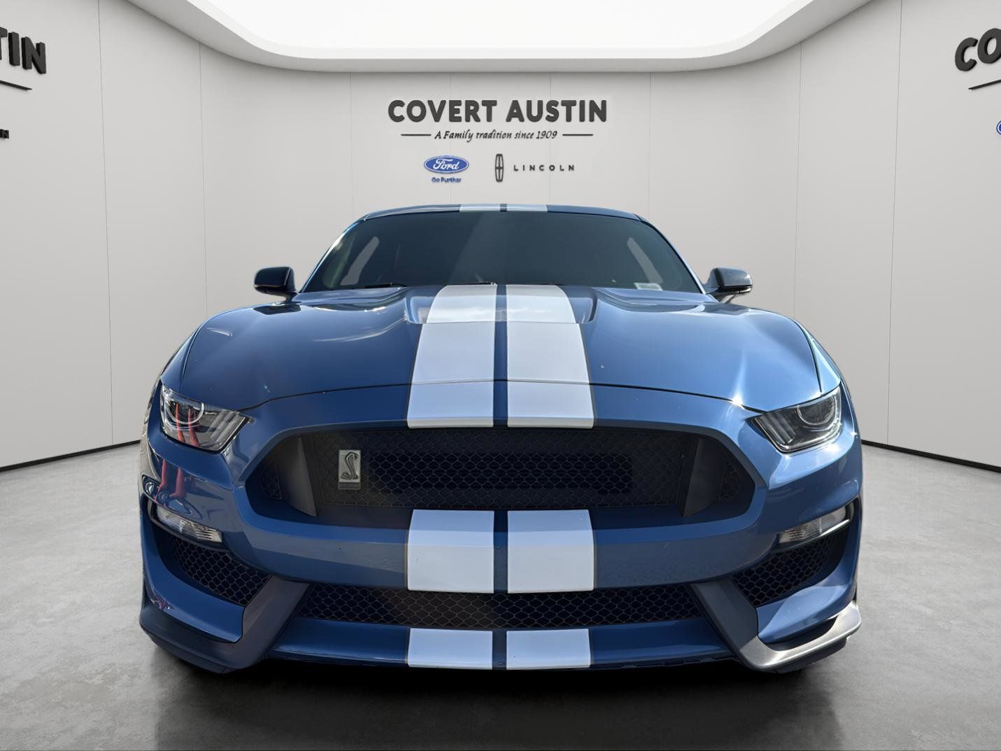 Used Car 2019 Ford Mustang  Shelby Gt350 For Sale Under $70,000 In Austin, Texas