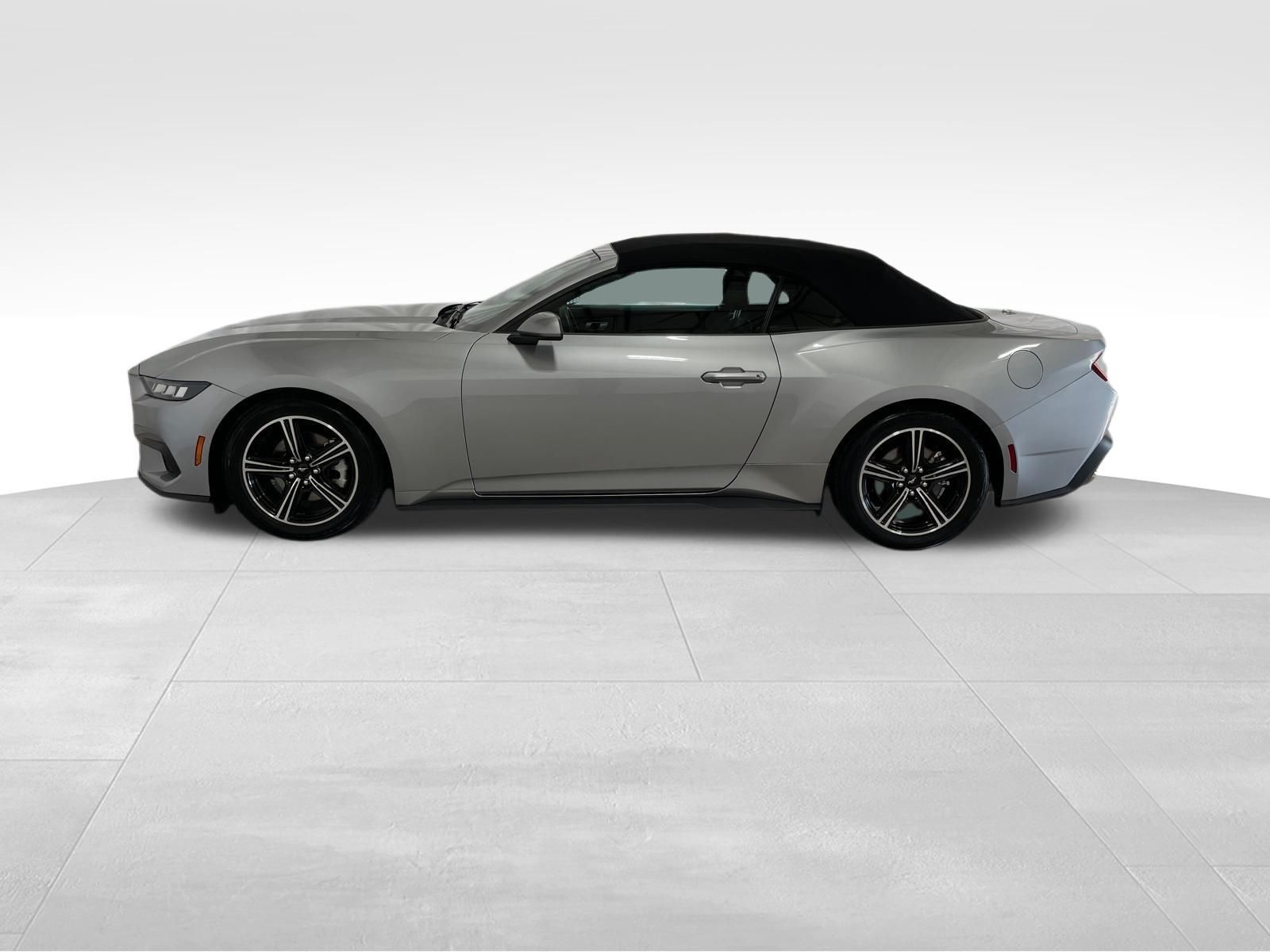 Used Car 2024 Ford Mustang  Ecoboost For Sale Under $35,000 In Austin, Texas