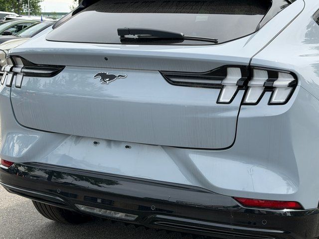 New 2025 Gray Ford Premium image 14