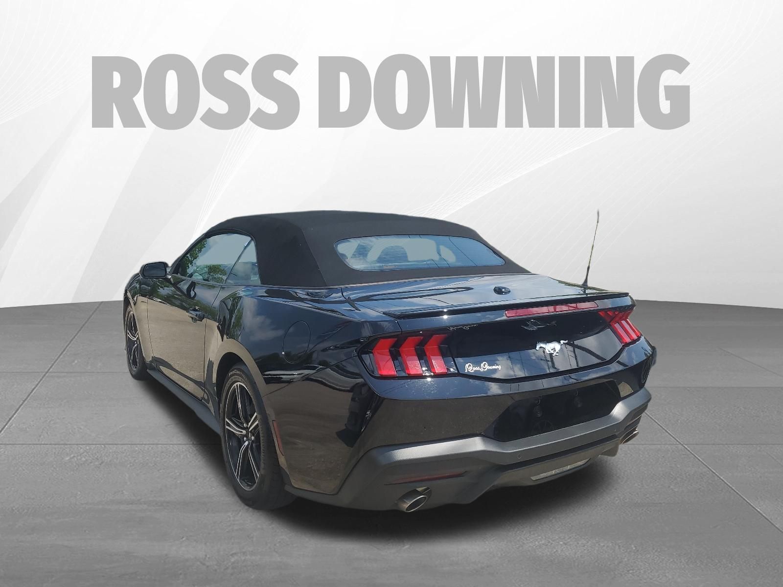 2025 Ford Mustang EcoBoost Premium - 5