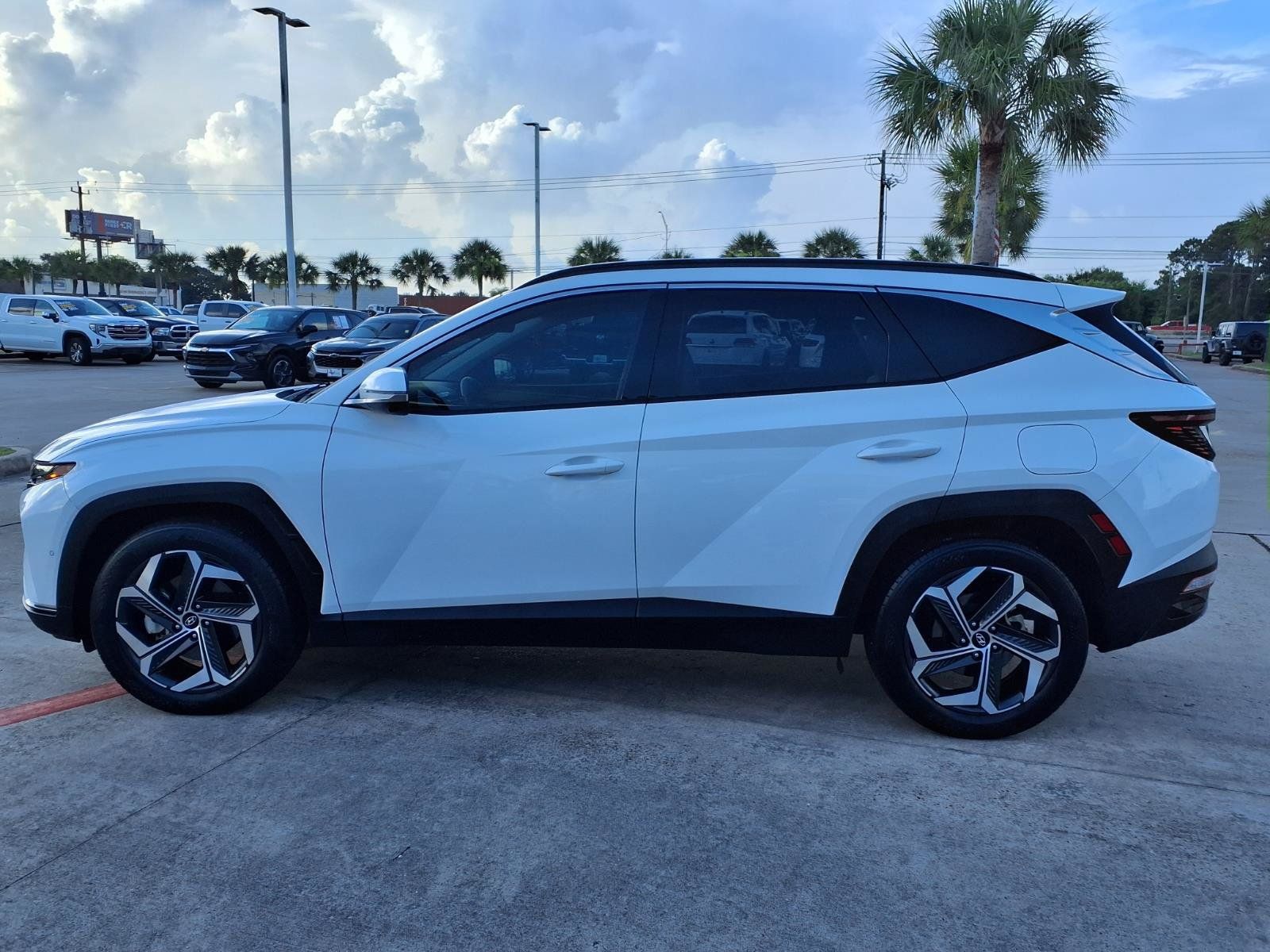 2024 Hyundai Tucson Limited White at Legacy Ford