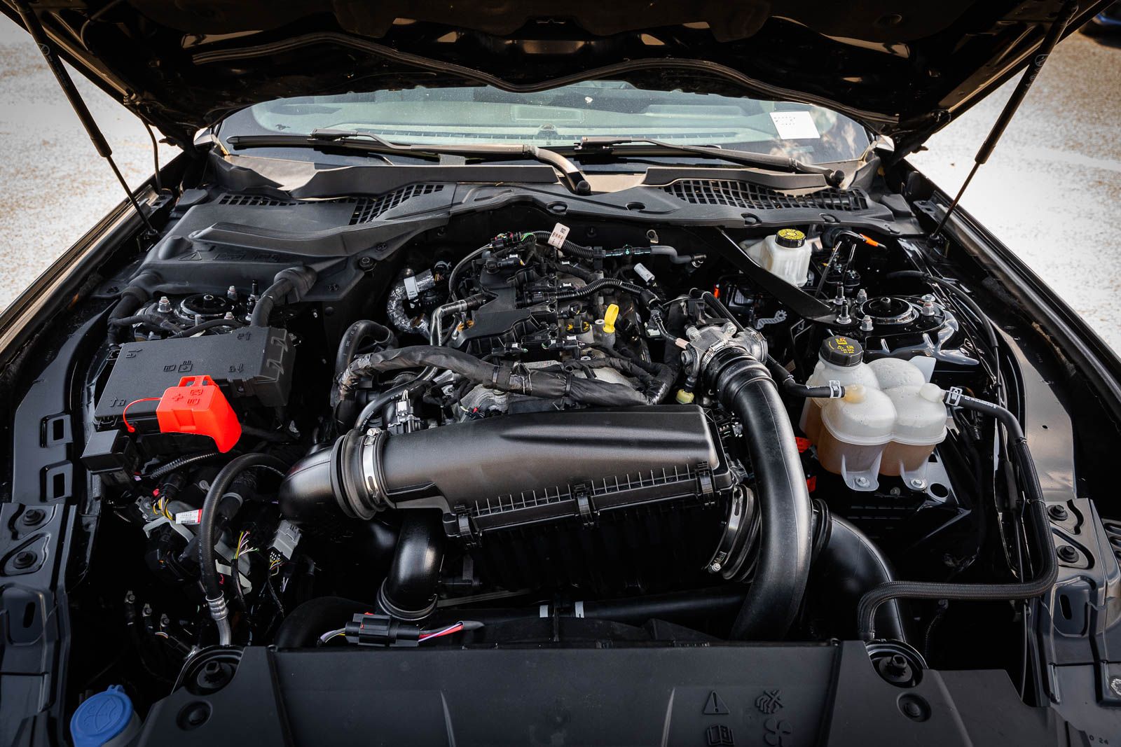 Used 2024 Ford Mustang Convertible
