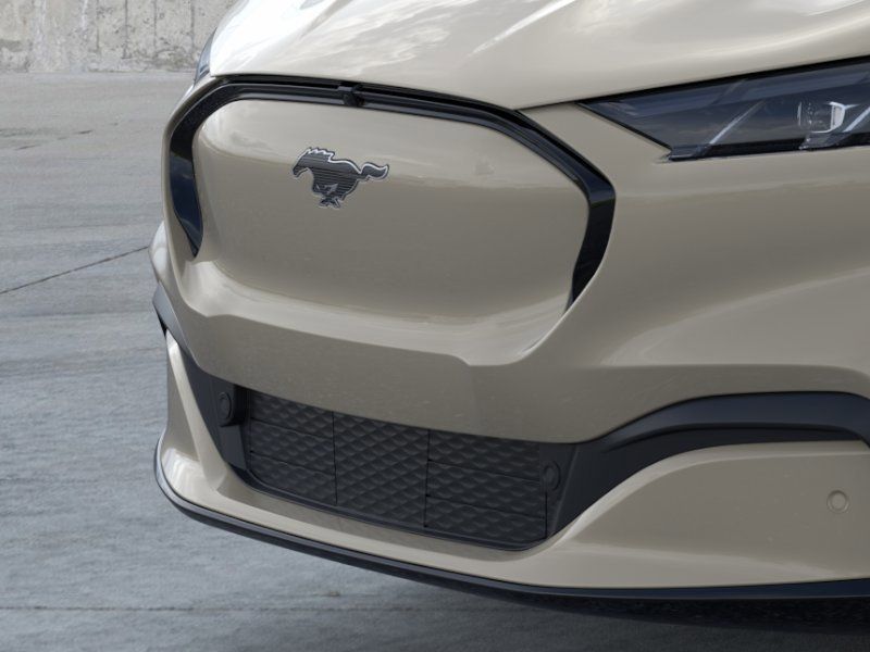 New 2025 Desert Sand Ford Premium image 17