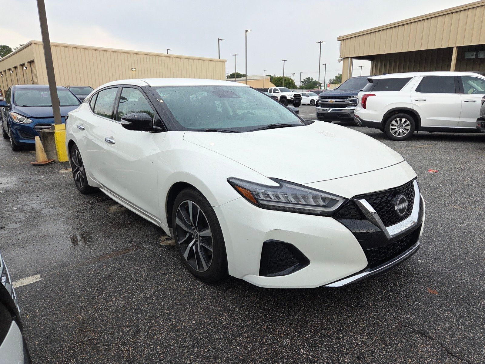 2023 Nissan Maxima SV