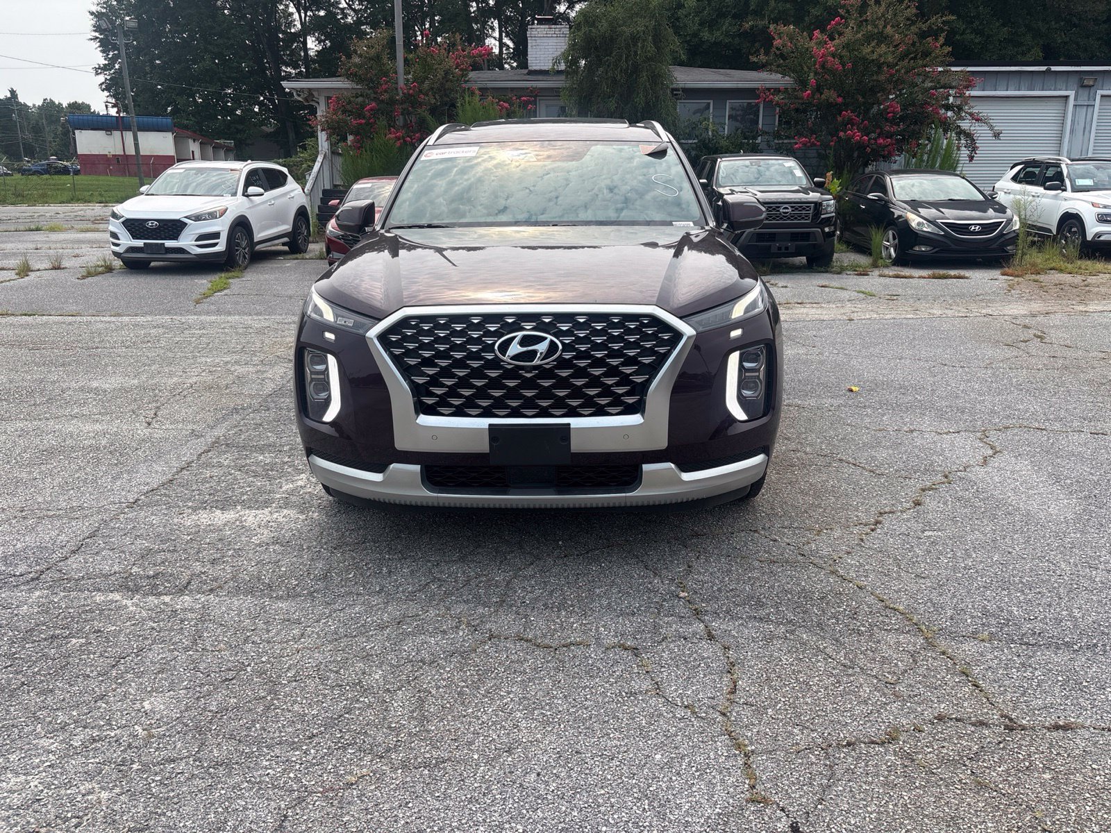 Used 2021 Red Hyundai Calligraphy image 2