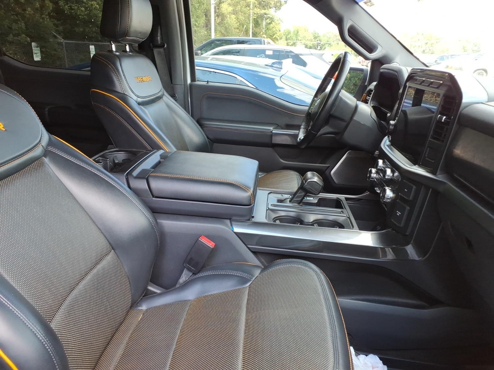 2021 Ford F-150 Tremor - 11