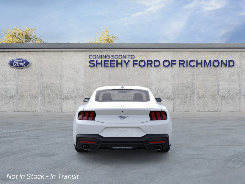 New 2026 Oxford White Ford EcoBoost image 6