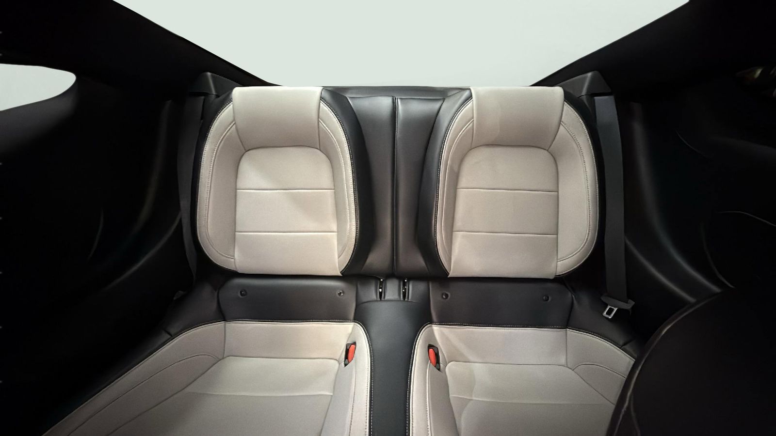 Used Car 2024 Ford Mustang  Ecoboost Premium For Sale Under $30,000 In Austin, Texas