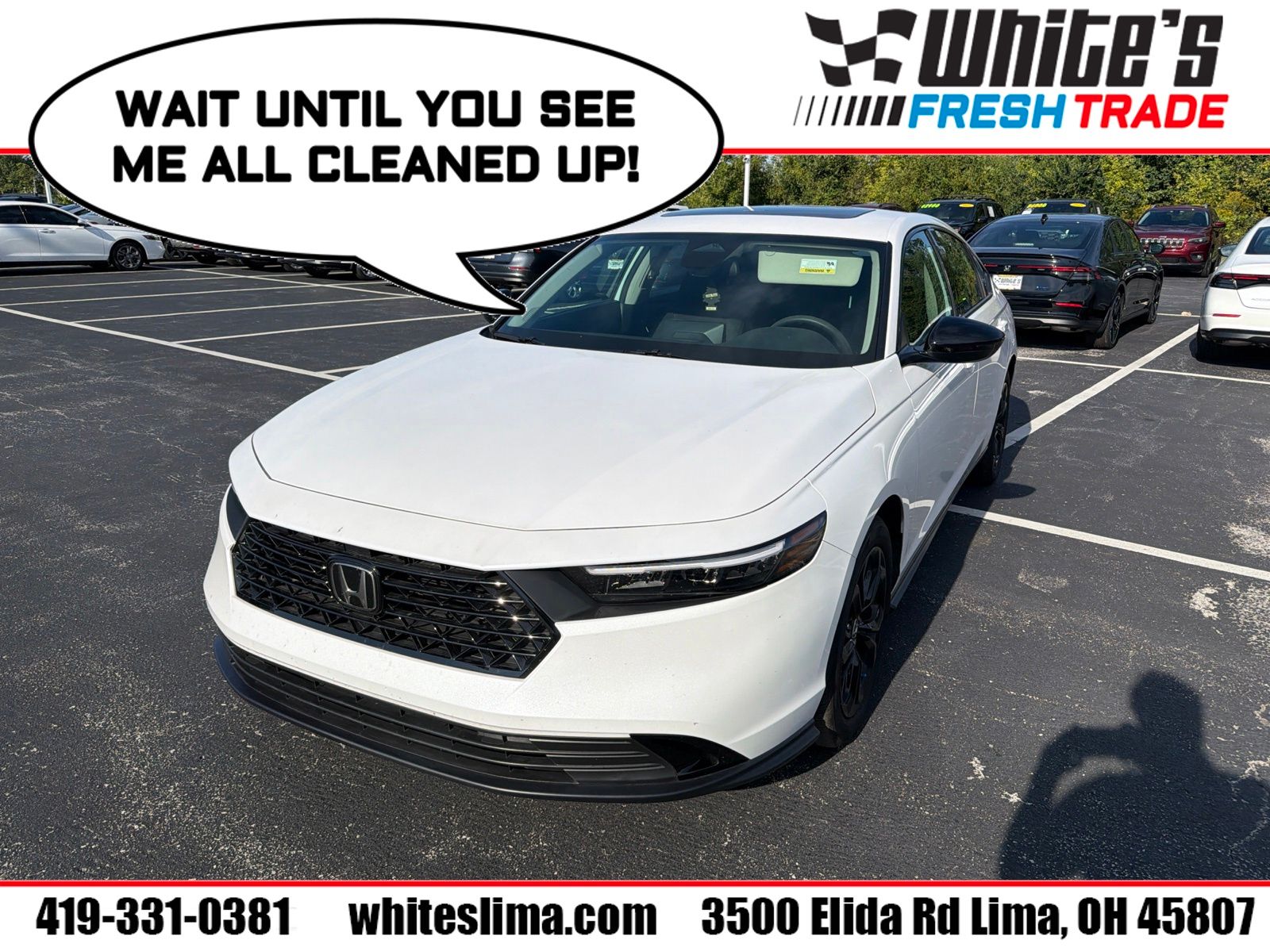 White 2025 Honda Accord Sedan Front-Wheel Drive Continuously Variable Transmission