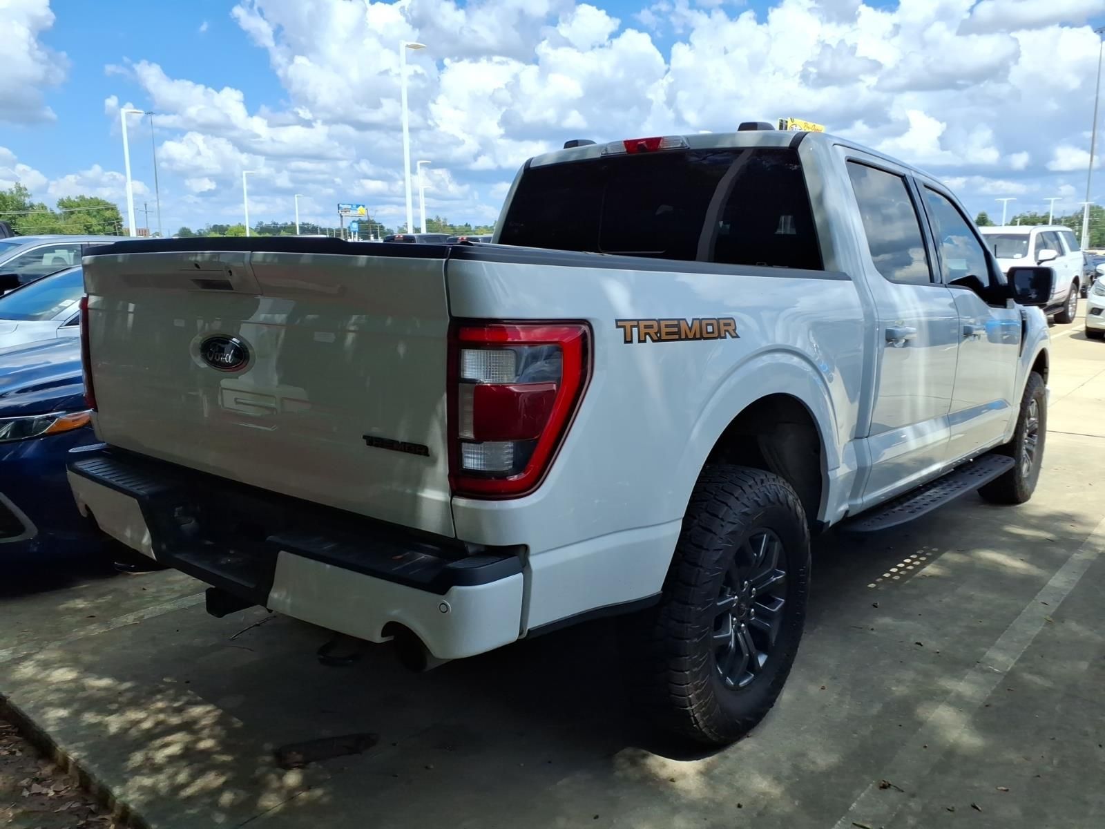 2021 Ford F-150 Tremor - 8
