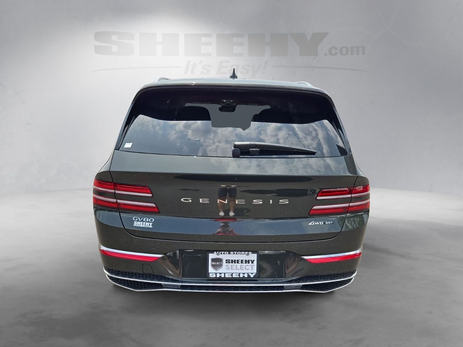 Used 2025 Green Genesis 3.5T Advanced image 15