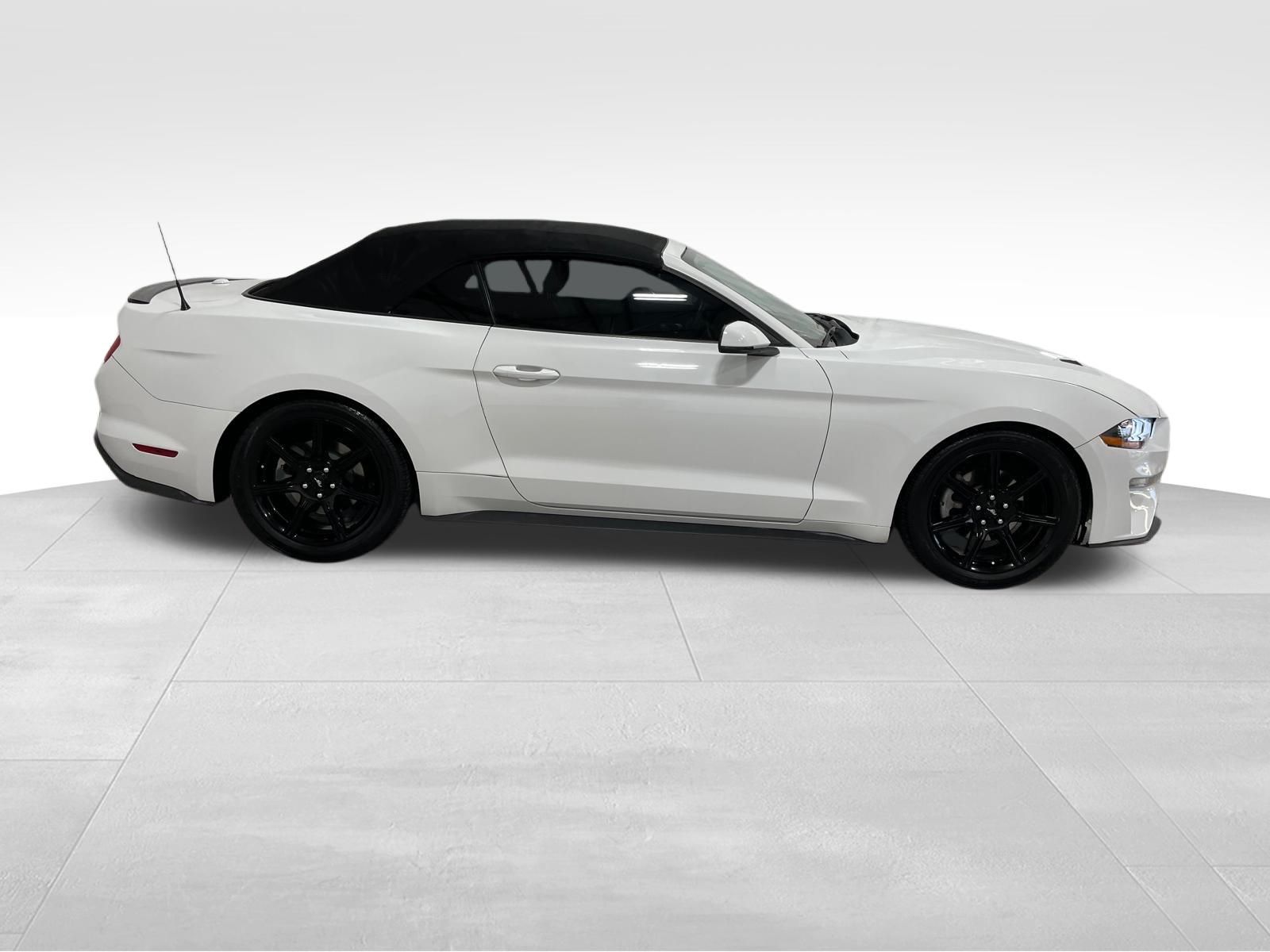 Used Car 2018 Ford Mustang  Ecoboost Premium For Sale Under $20,000 In Austin, Texas