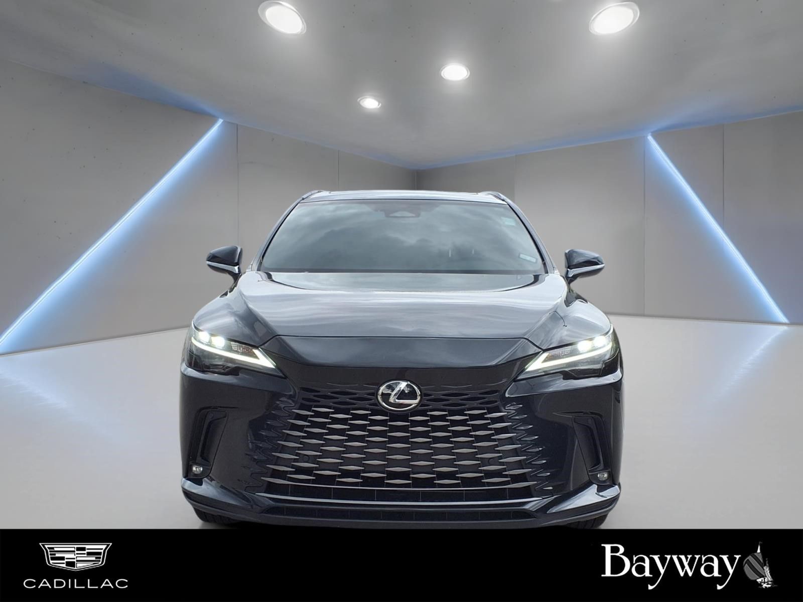 2023 Lexus RX 350 Premium Plus - 2