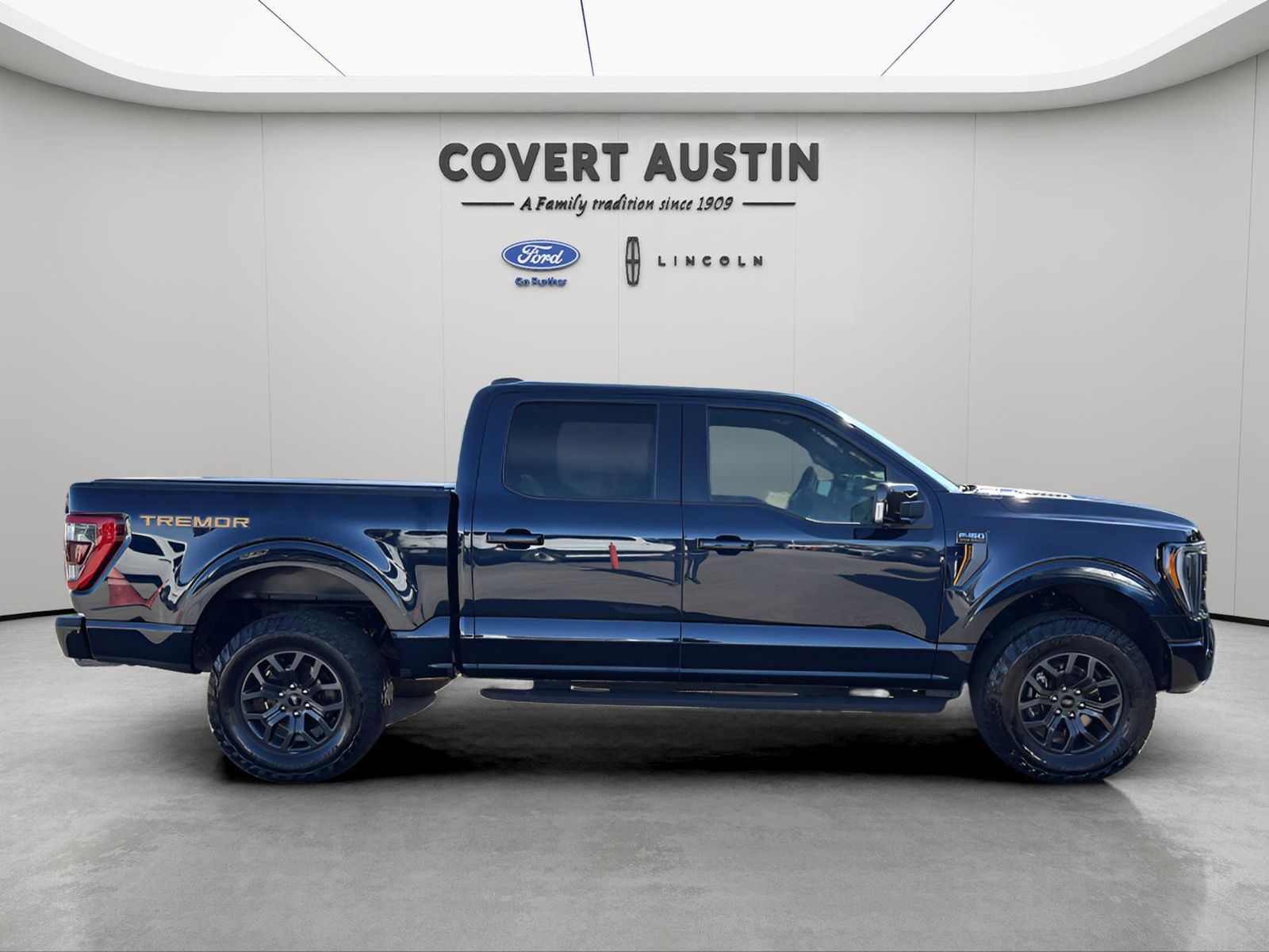 Used Car 2022 Ford F-150  For Sale Under $50,000 In Austin, Texas