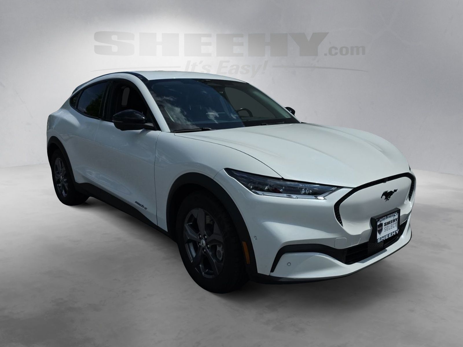 Used 2023 White Ford Select image 2