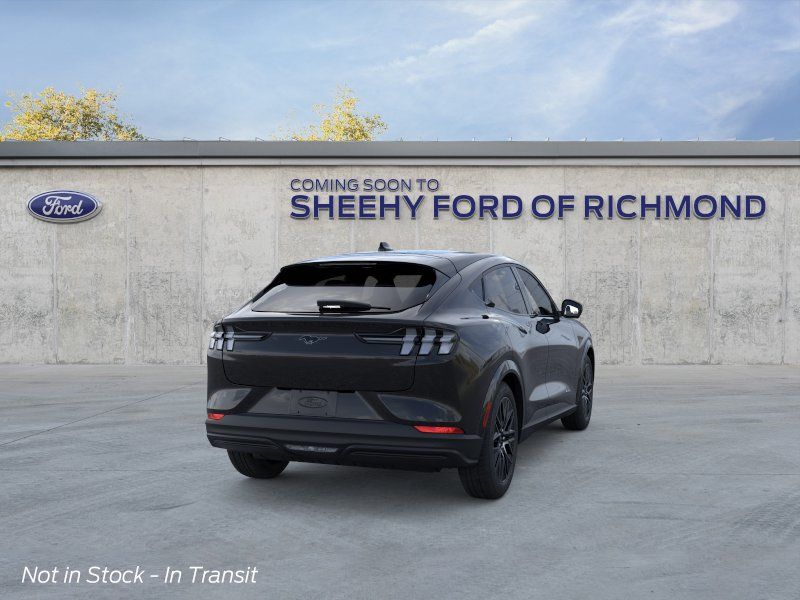 New 2026 Shadow Black Ford Premium image 8