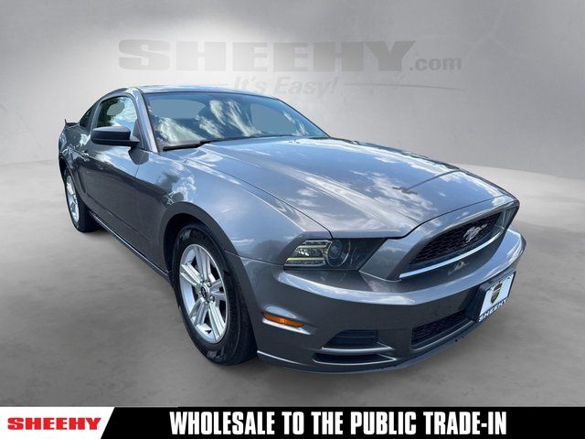 2014 Ford Mustang V6's photo