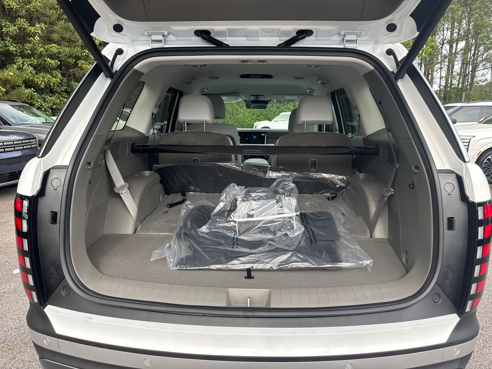 New 2026 White Hyundai Blue SEL image 19